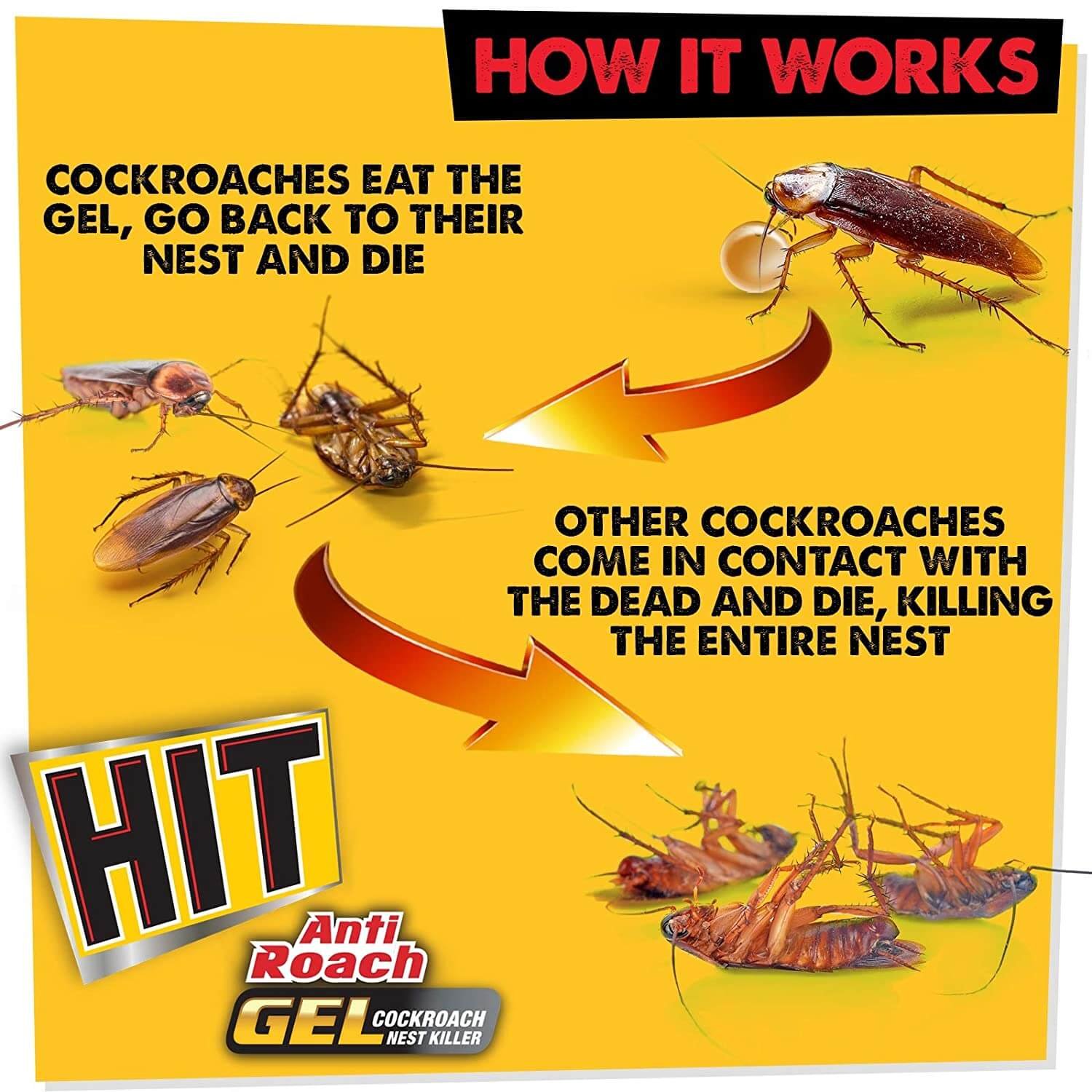 https://shoppingyatra.com/product_images/HIT Godrej Anti Roach Gel - Cockroach Killer (20g), Kitchen Safe, Odourless, Fast and Convenient2.jpg